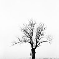 Krajina_029
